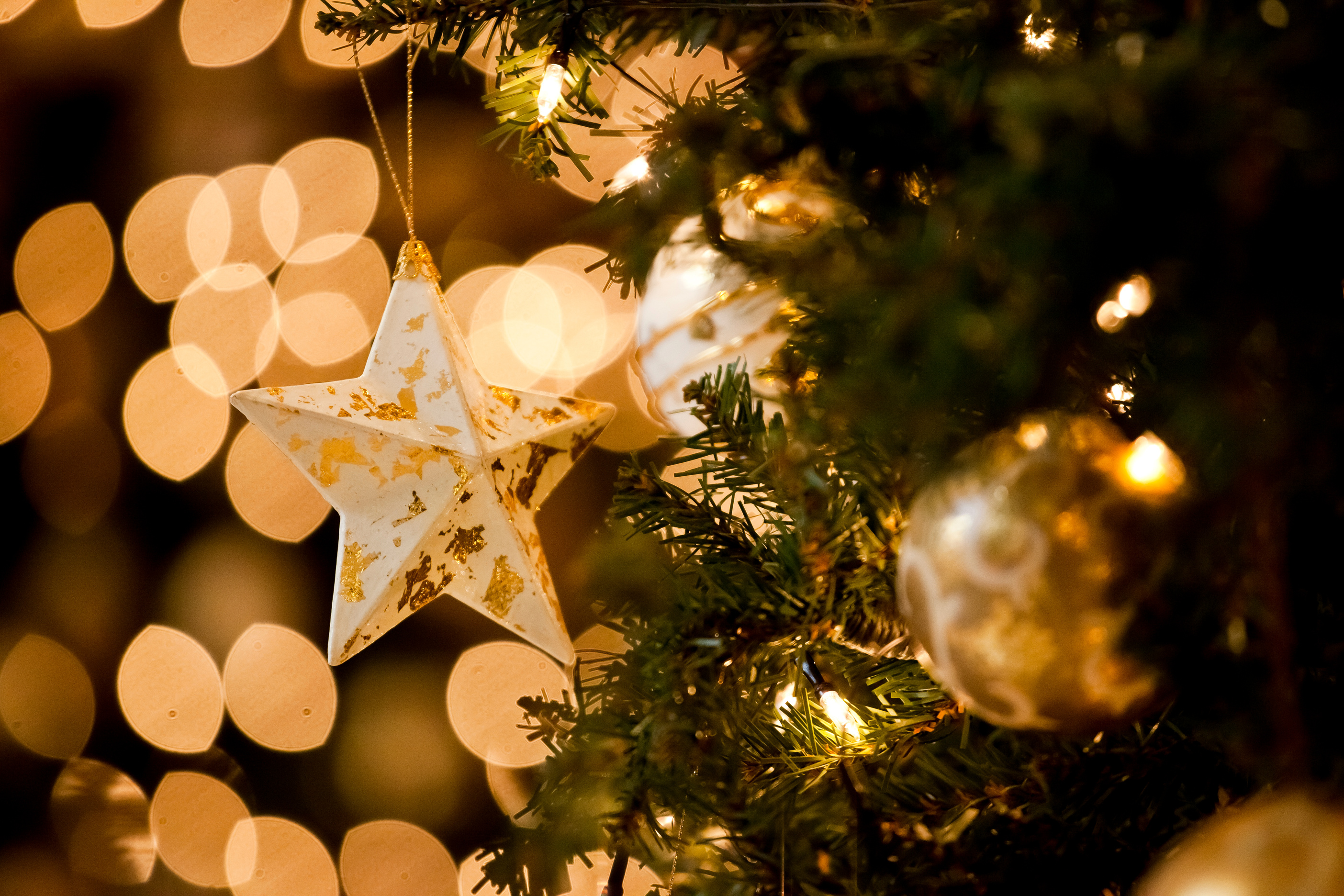 Close-up of a Christmas Tree